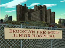 BrooklynPreMedHospital.png