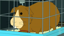 Fry's guinea pig.png