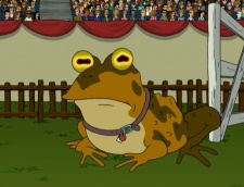 Hypno-Toad.jpg